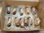 Cannolis_image