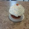 Plain Giant Cupcake