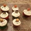 Decorated Cupcakes